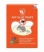 Image result for Glue Rat Trap Aus