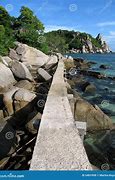 Image result for Beach Path Bright