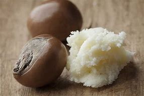 Image result for Shea Butter Uses