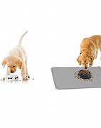 Image result for Pet Feeding Mat