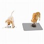 Image result for Pet Feeding Mat