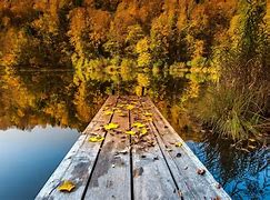 Image result for Autumn Lake Dock