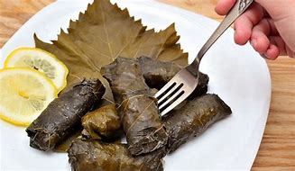 Image result for Dolma Lama