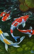 Image result for 13 Koi Carp Image