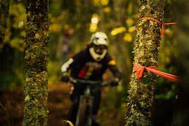 Image result for Enduro Mountain Biking