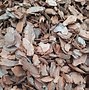 Image result for Rp Wood Mulch