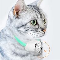 Image result for Cat Laser Collar