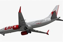 Image result for Lion Air 737 Max 9