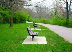 Image result for Nature Preserve Bench