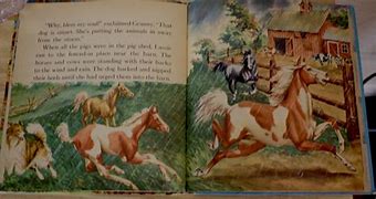 Image result for Lassie Book Storm Rescue