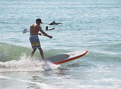 Image result for Surfing Paddleboard