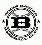 Image result for Boise Hawks Logo