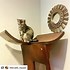 Image result for Corner Cat Tree Tower