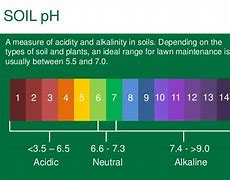 Image result for Ph Scale for Soil