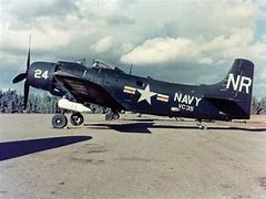 Image result for Douglas A-1 Skyraider