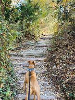 Image result for Cedar Ridge Preserve Dallas