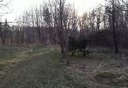 Image result for Forest Walk Path