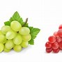 Image result for Grape Vine DXF