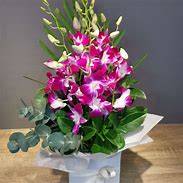 Image result for Singapore Native Orchids