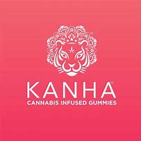 Image result for Kanha Logo Dezaen