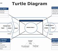 Image result for Turtle Growth Chart