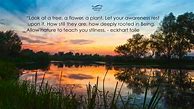 Image result for Find Peace in Nature Quotes