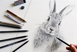 Image result for Rabbit Laying Drawing