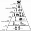 Image result for Taxonomy Classification Chart