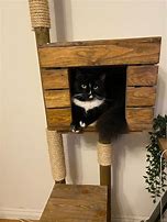 Image result for Pallet Cat Tree