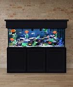 Image result for 150 Gallon Aquarium