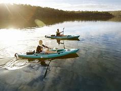 Image result for Gippsland Lakes Underwater