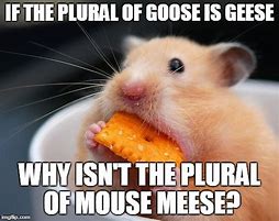 Image result for Please Mouse Meme