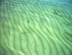 Image result for Ocean Floor Texture