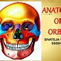 Image result for Orbit Anatomy PPT