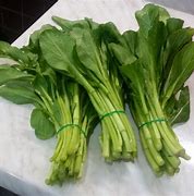 Image result for Choy Sum