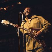 Image result for Albert King