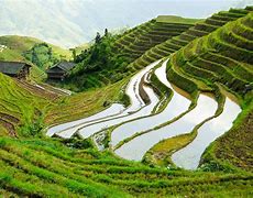 Image result for Ancient China Farming