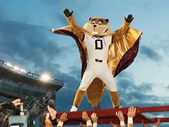 Image result for Goldy Gopher Baby