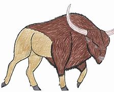 Image result for Bison Latifrons