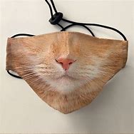 Image result for Orange Cat Mask