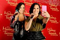 Image result for Demi Lovato Figure