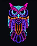 Image result for Scary Owl Neon