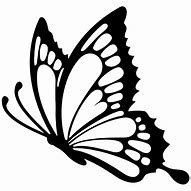 Image result for Welsh Flag Butterfly Car Stickers