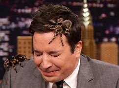 Image result for Jimmy Fallon Smile Fading