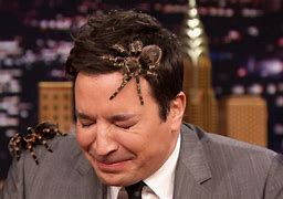 Image result for Jimmy Fallon Face