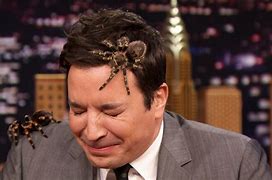 Image result for Jimmy Fallon Eat Turkey