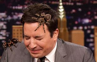 Image result for Jimmy Fallon Hair GEL