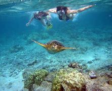 Image result for Snorkeling Kreta