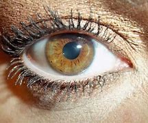 Image result for Olive Green Eyes Men