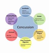 Image result for Concussion Mindset